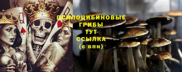 а пвп мука Алзамай